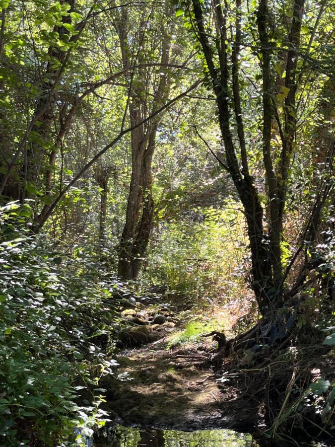 Acogedora Casa Rural En La Sierra De Madrid ماتايلبينو المظهر الخارجي الصورة